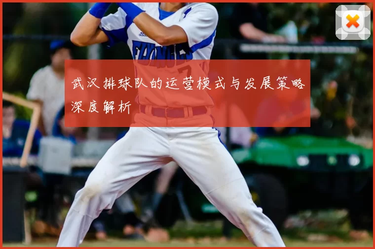 武汉排球队的运营模式与发展策略深度解析