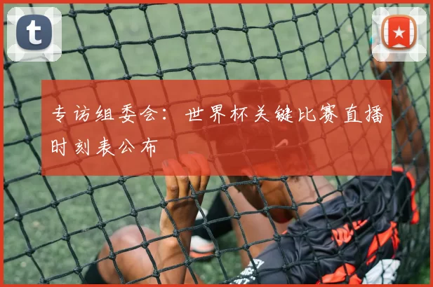 专访组委会：世界杯关键比赛直播时刻表公布