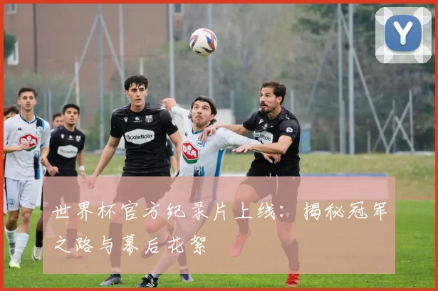 世界杯官方纪录片上线:揭秘冠军之路与幕后花絮