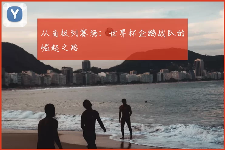 从南极到赛场：世界杯企鹅战队的崛起之路