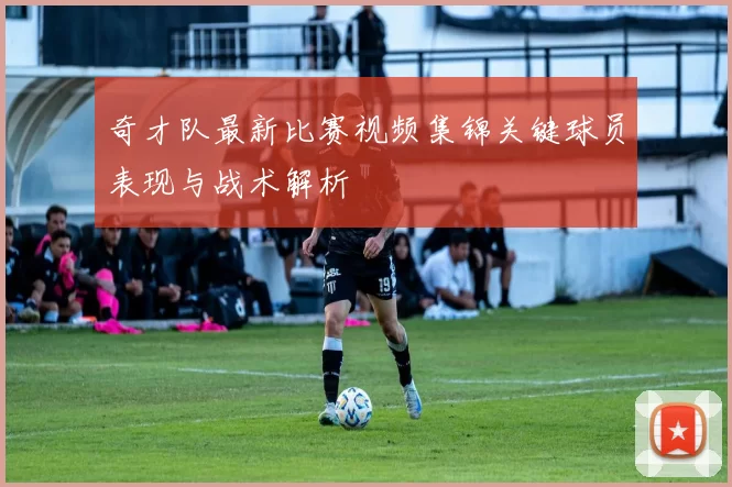 奇才队最新比赛视频集锦关键球员表现与战术解析