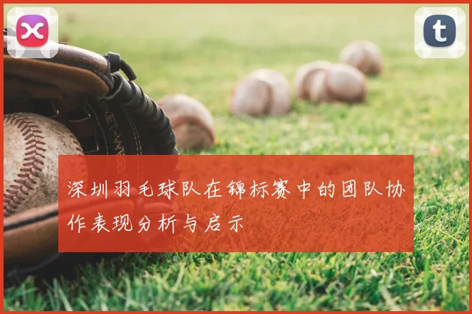 深圳羽毛球队在锦标赛中的团队协作表现分析与启示