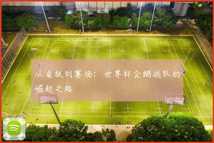 从南极到赛场：世界杯企鹅战队的崛起之路