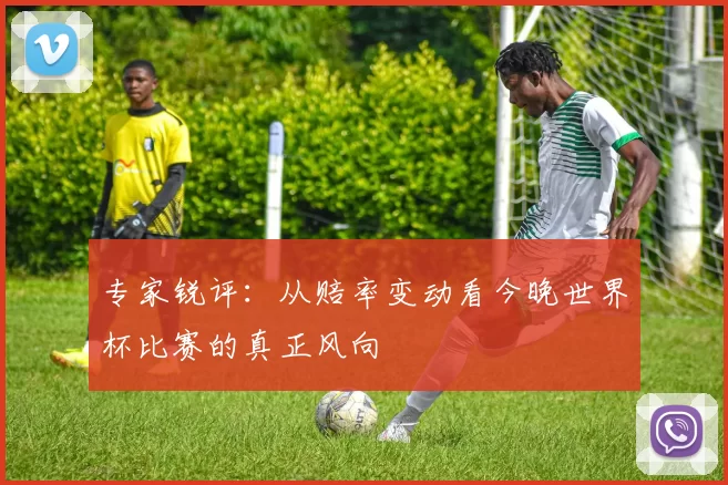 专家锐评：从赔率变动看今晚世界杯比赛的真正风向